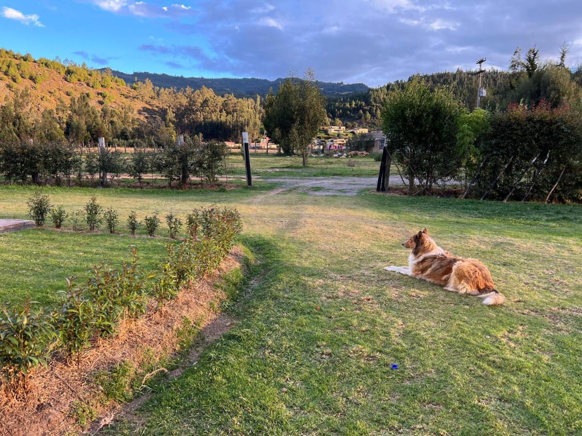 Casa Campestre Villa Luna سوغاموسو المظهر الخارجي الصورة